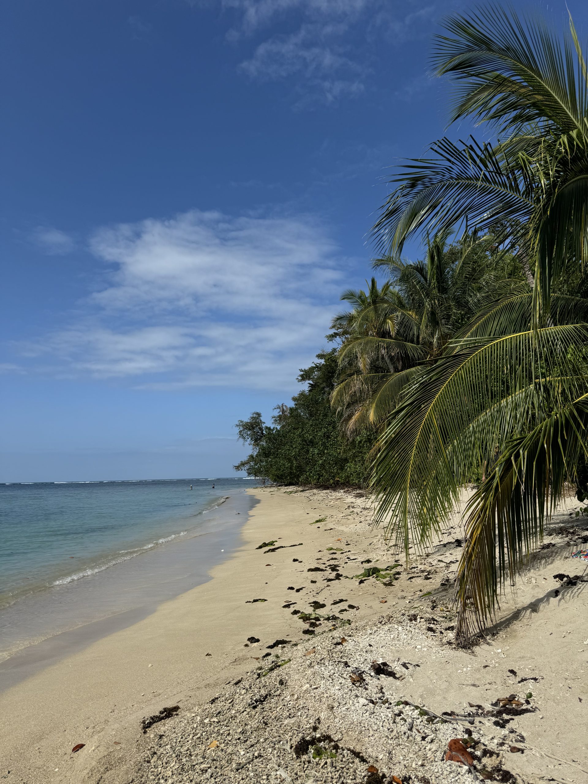 Cahuita Park
