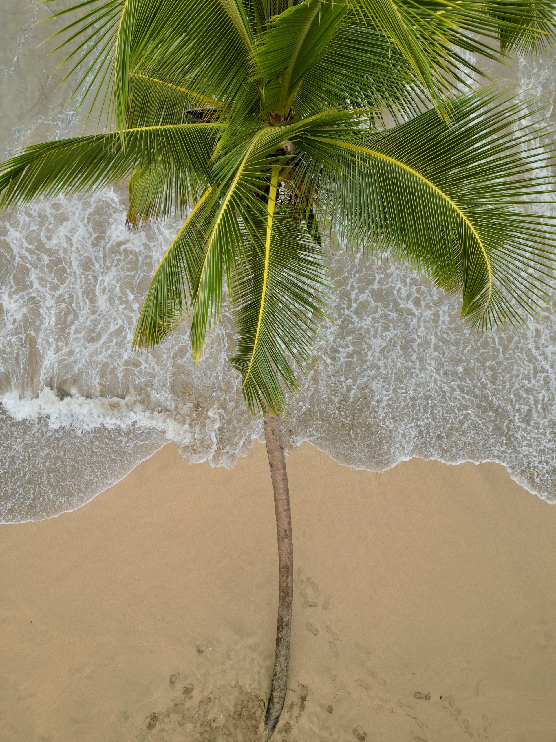 Playa Punta Uva, Puerto Viejo